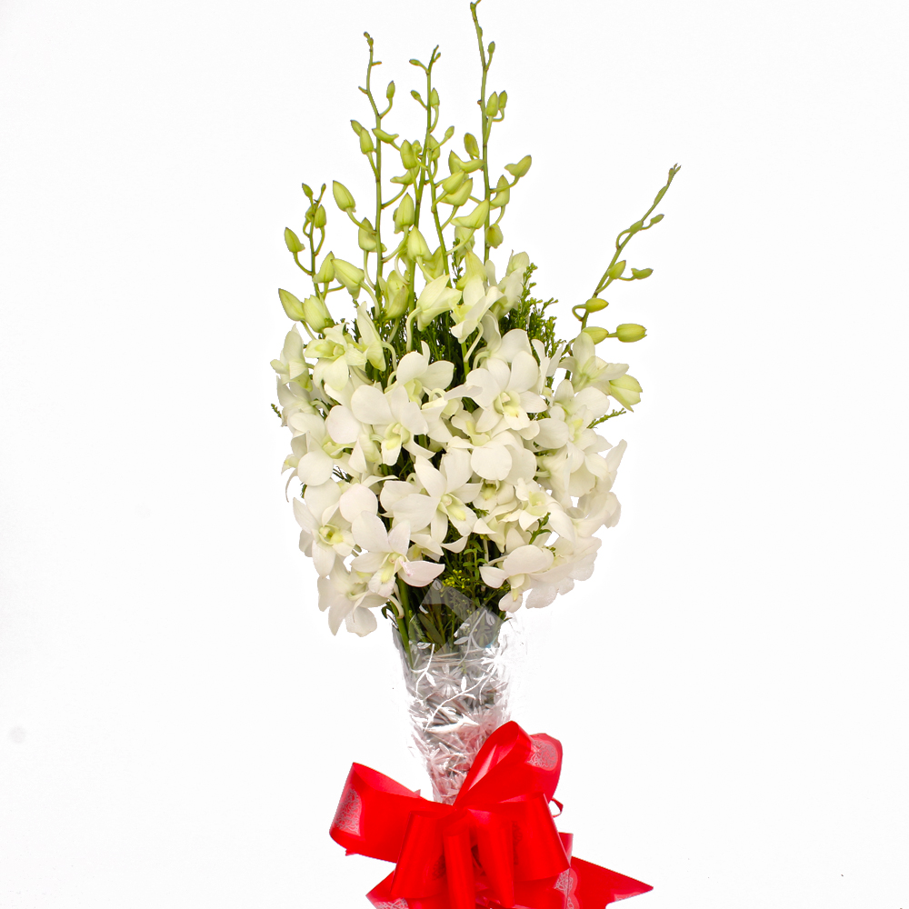 Exotic 6 White Orchids Hand Tied Bunch
