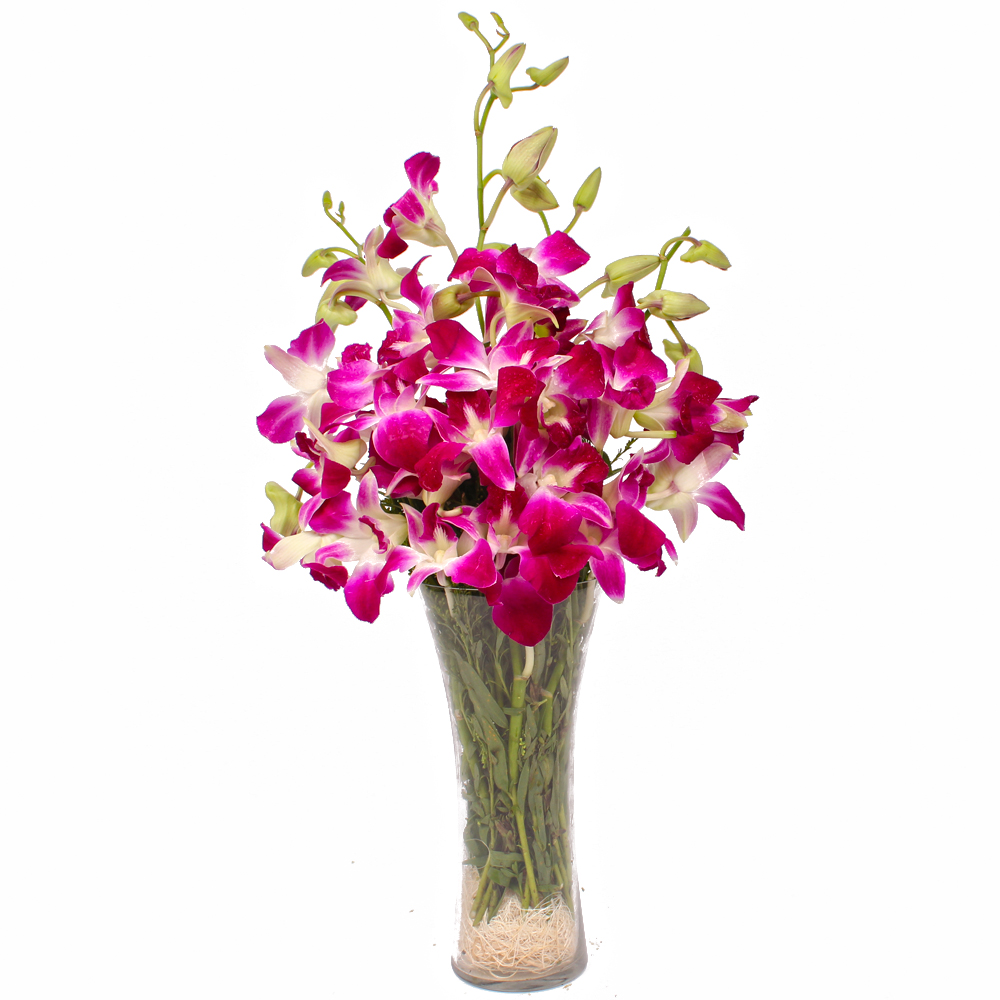 Glass Vase of 6 Purple Orchids