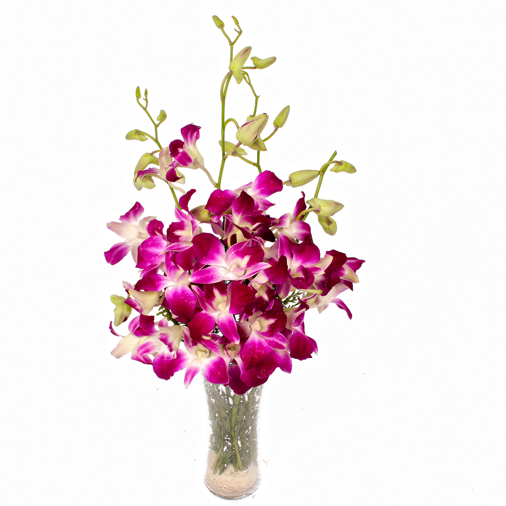 Glass Vase of 6 Purple Orchids