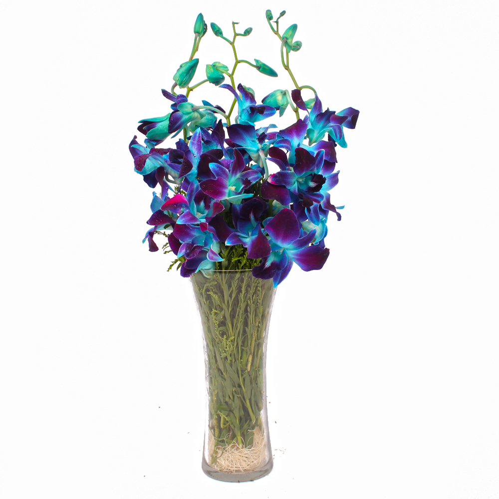 Glass Vase of 6 Stem Blue Orchids