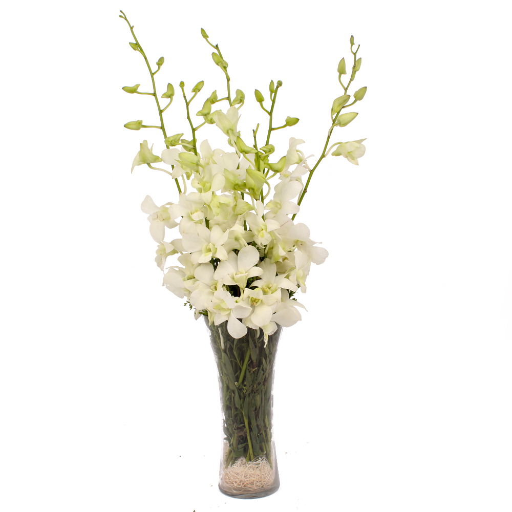 Glass Vase of 6 Stem White Orchids