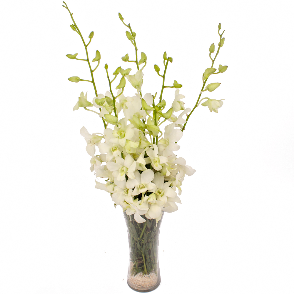 Glass Vase of 6 Stem White Orchids