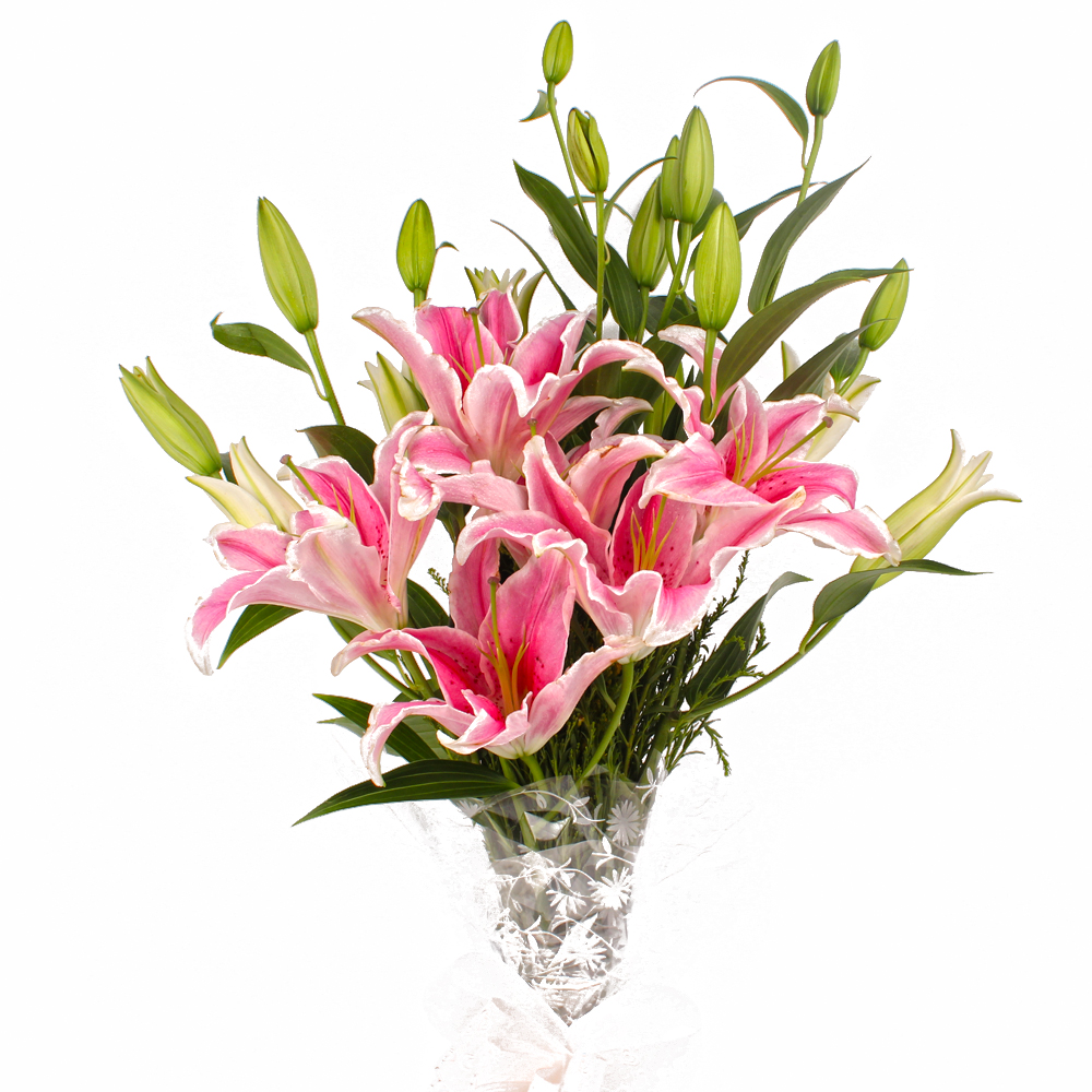 Five Pink Lilies Hand Bunch with Cellophane Packing