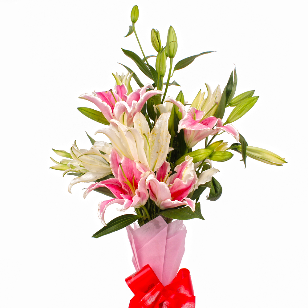 Dozen Mix White and Pink Lilies in Tissue Wrapped