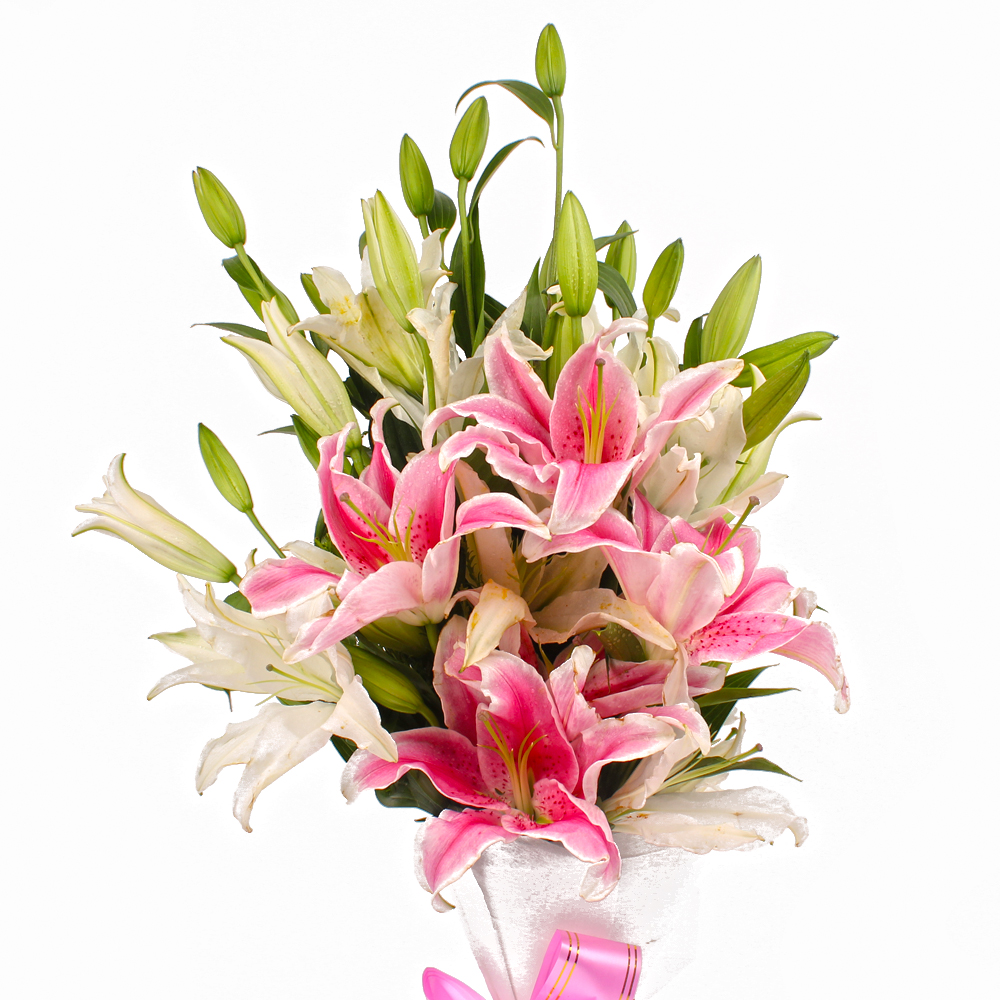 Fifteen White and Pink Lilies in Tissue Packing