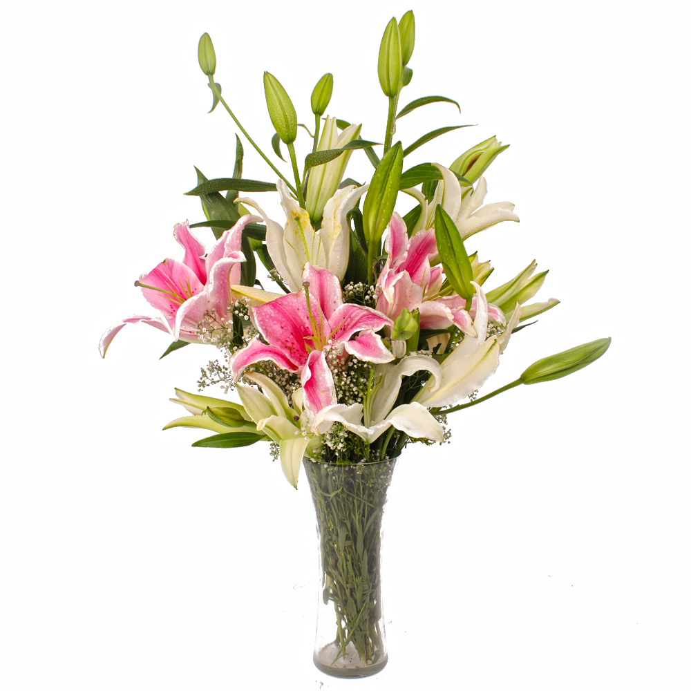 Glass Vase of 10 White and Pink Color Lilies