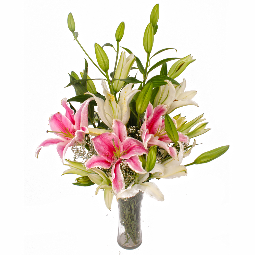 Glass Vase of 10 White and Pink Color Lilies
