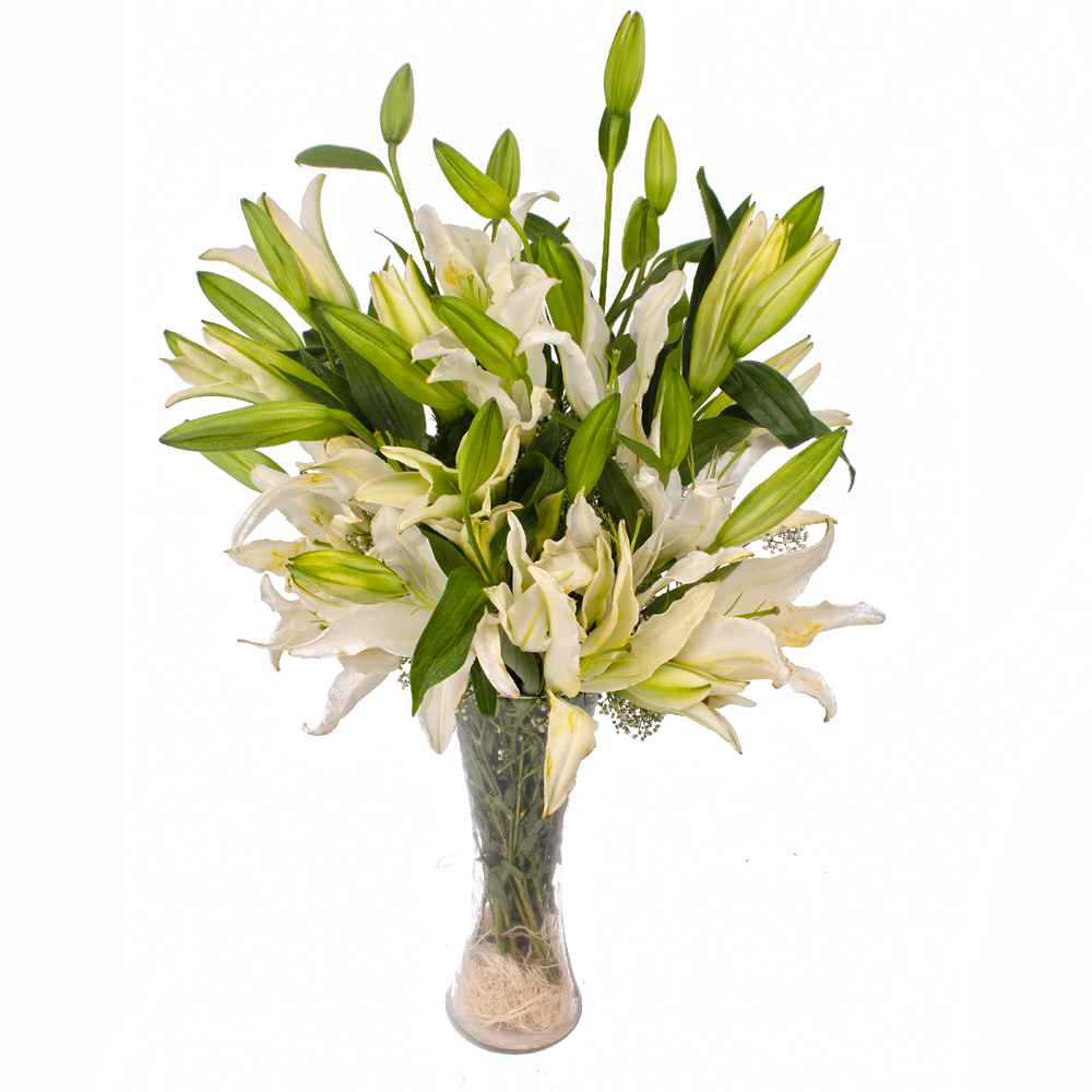 Ten White Lilies arranged in a Classical Glass Vase