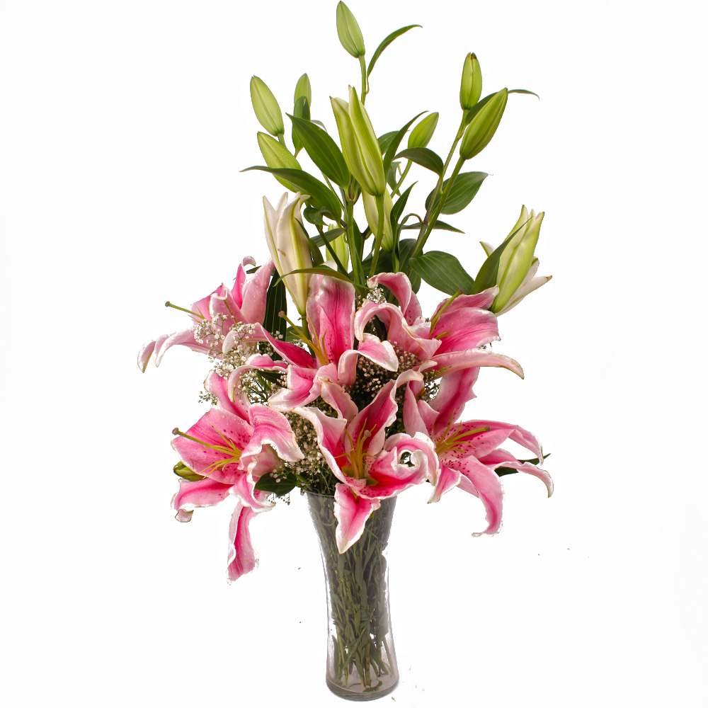 Glass Vase of Five Pink Color Lilies