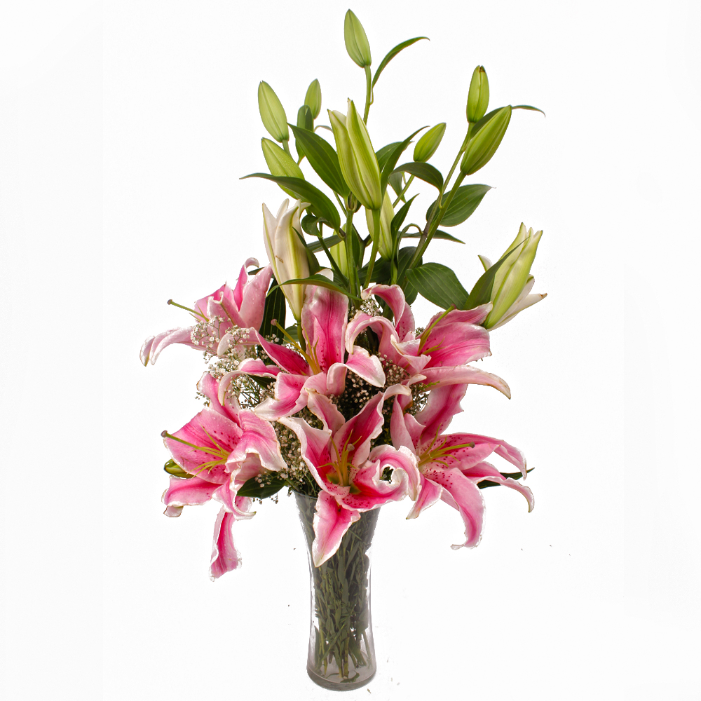 Glass Vase of Five Pink Color Lilies
