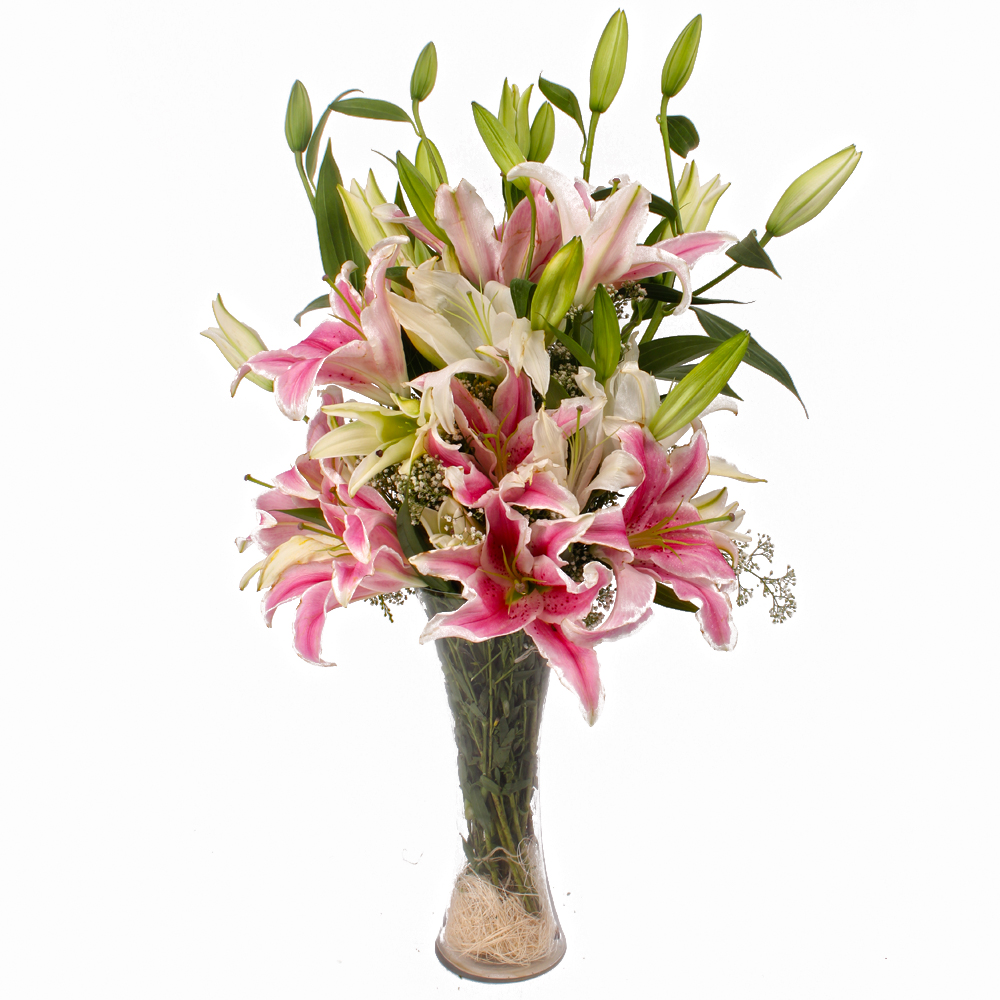 Glass Vase of 20 Stem of White and Pink Color Lilies