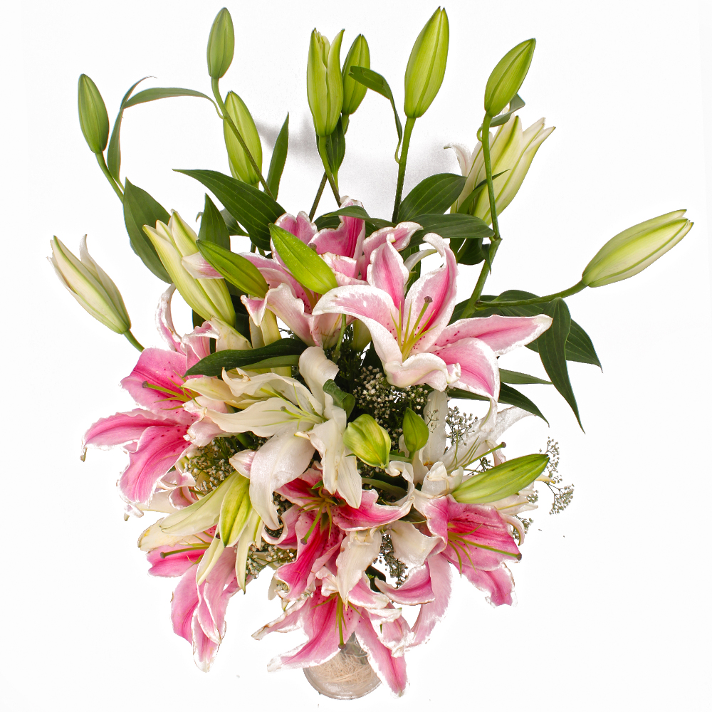 Glass Vase of 20 Stem of White and Pink Color Lilies
