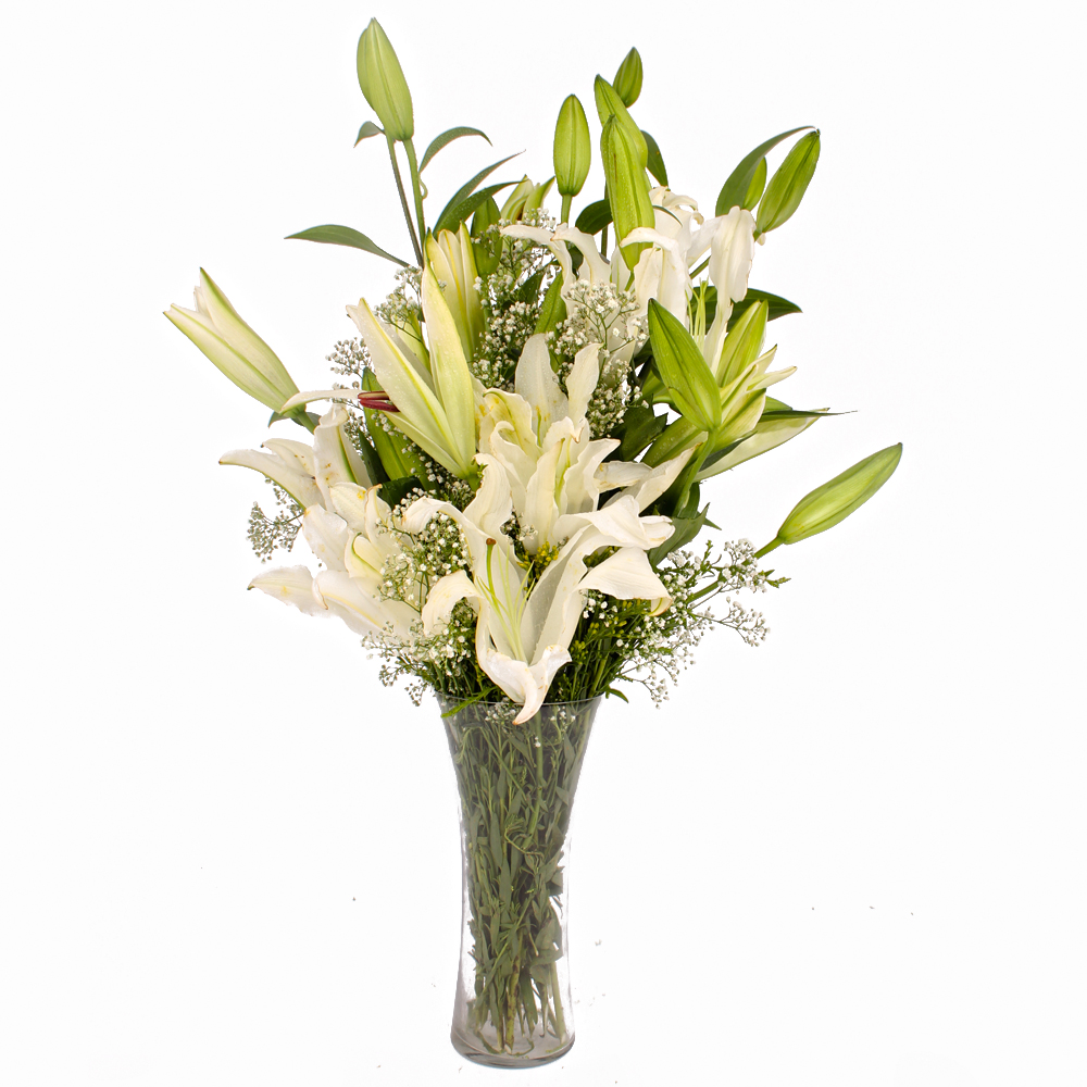 Classical Vase of Dozen White Lilies