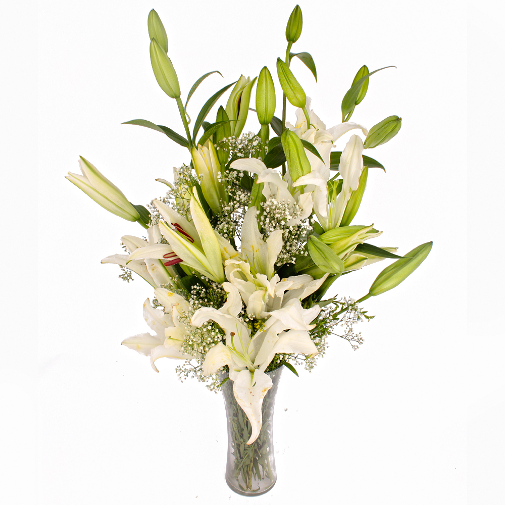 Classical Vase of Dozen White Lilies