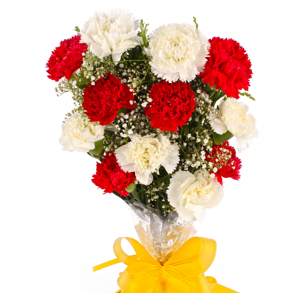 Dozen Red and White Carnations Bunch