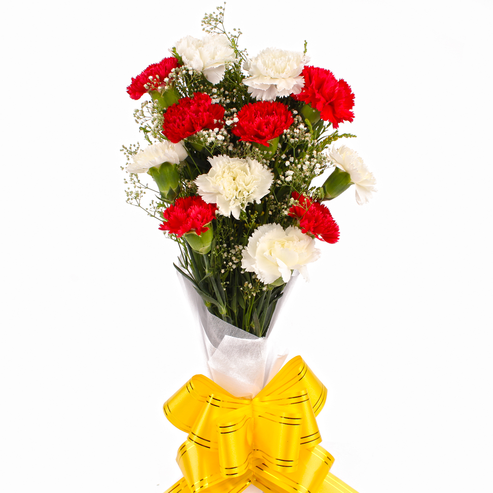 Dozen Red and White Carnations with Tissue Wrapping