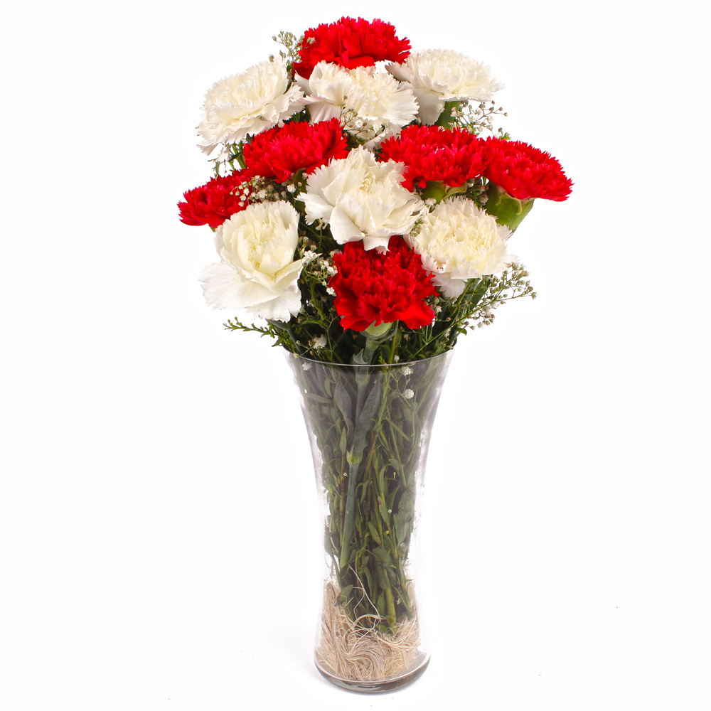 Red and White Carnations Vase Arrangement