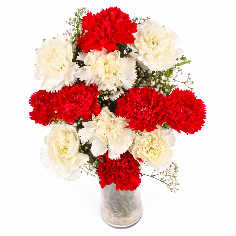Red and White Carnations Vase Arrangement