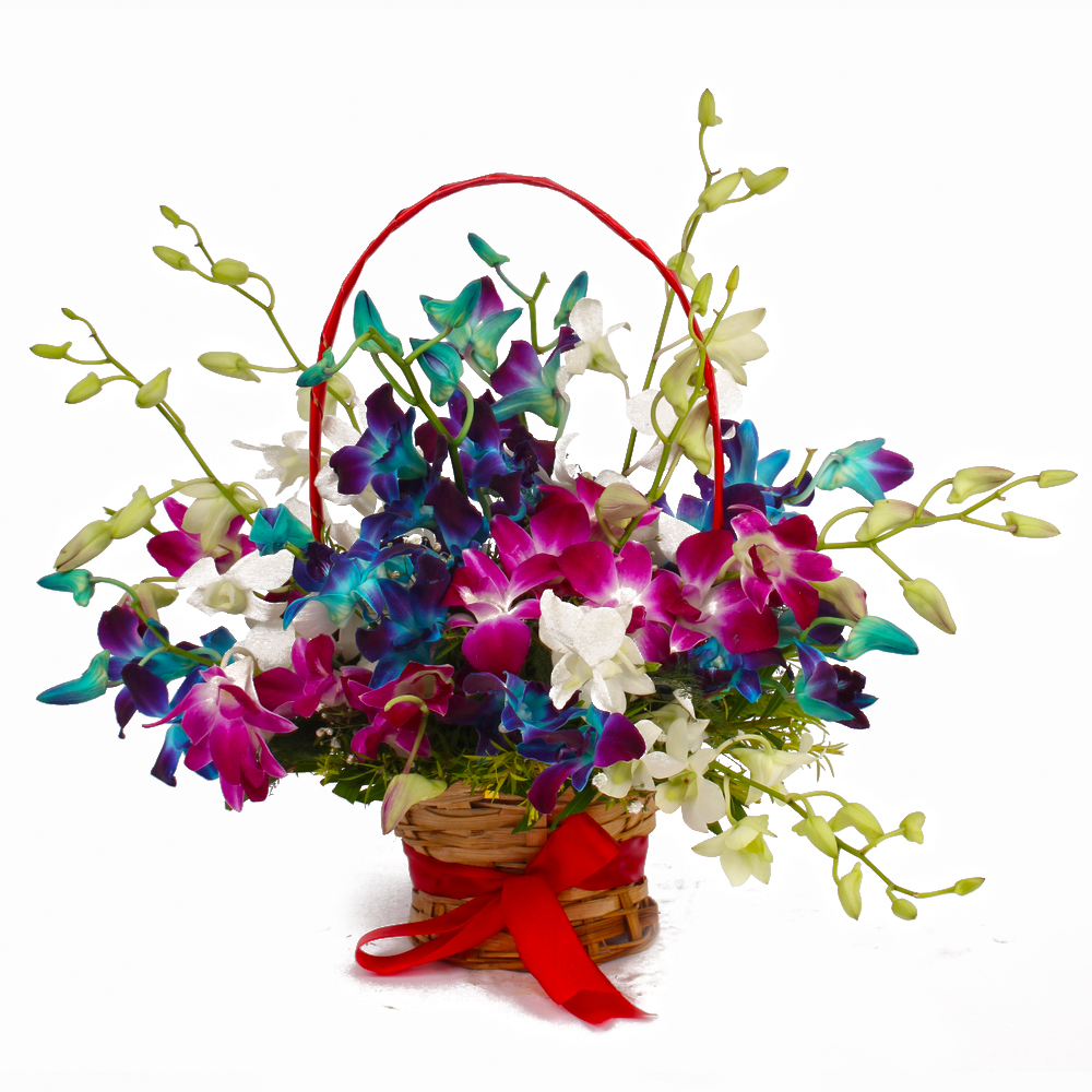 Colorful Fifteen Orchids Arrangement