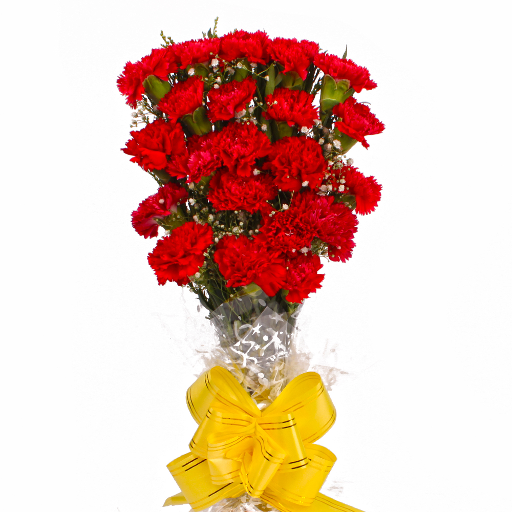 Twenty One Red Carnations Hand Tied Bunch