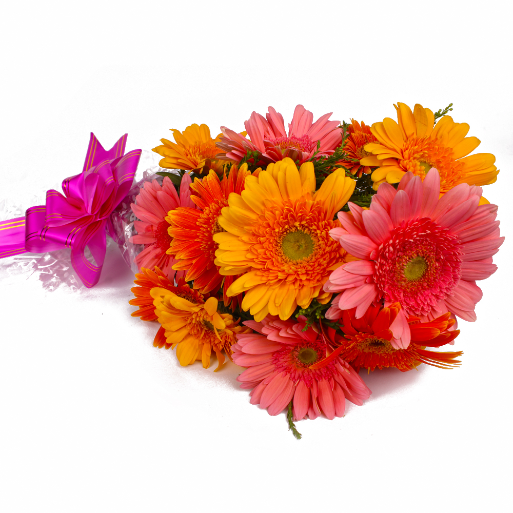 Twelve Pink and Yellow Gerberas Hand Tied Bunch