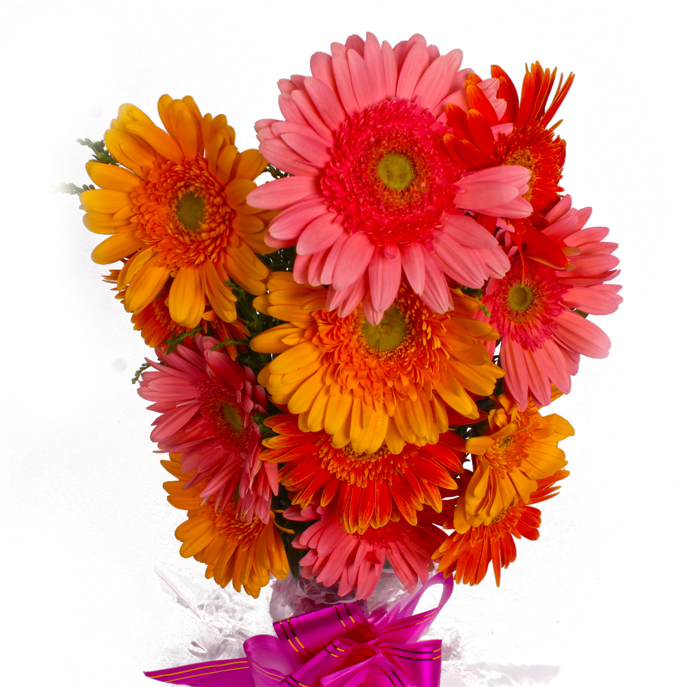 Twelve Pink and Yellow Gerberas Hand Tied Bunch