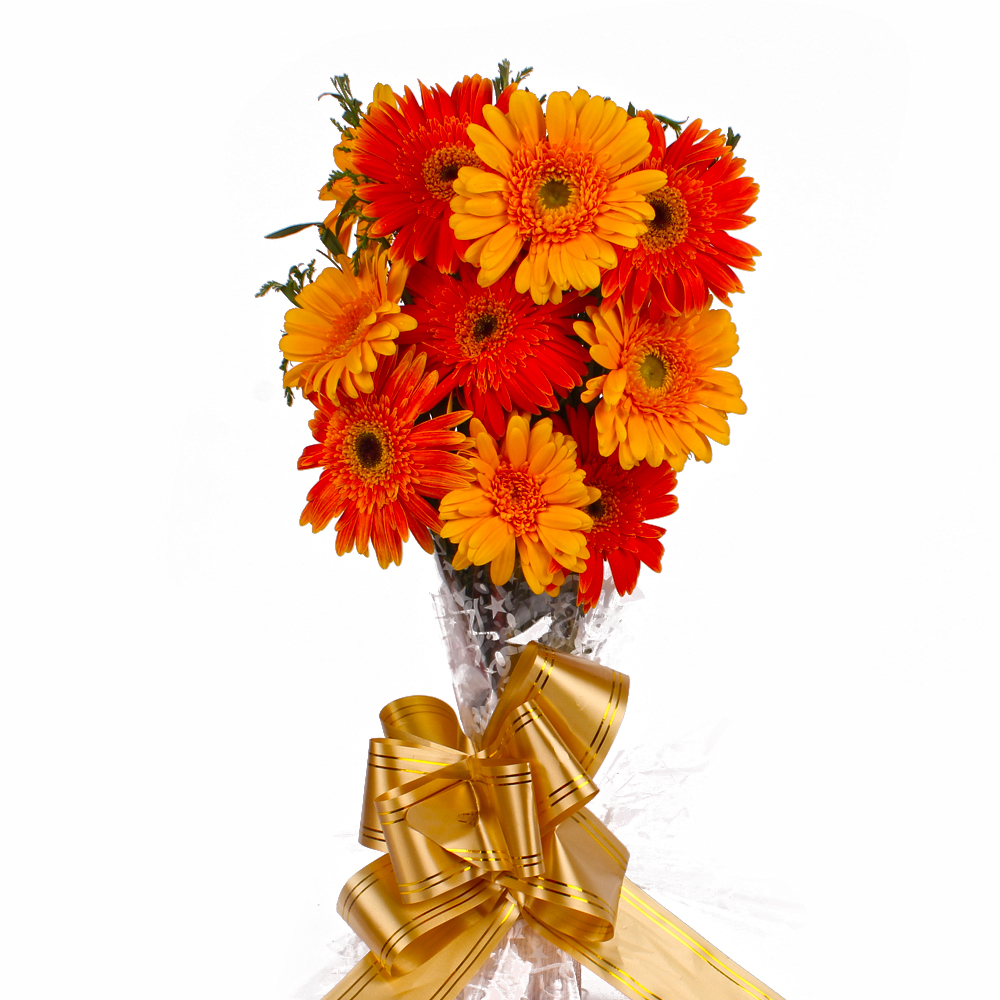 Radiance Shade of 10 Gerberas Bunch