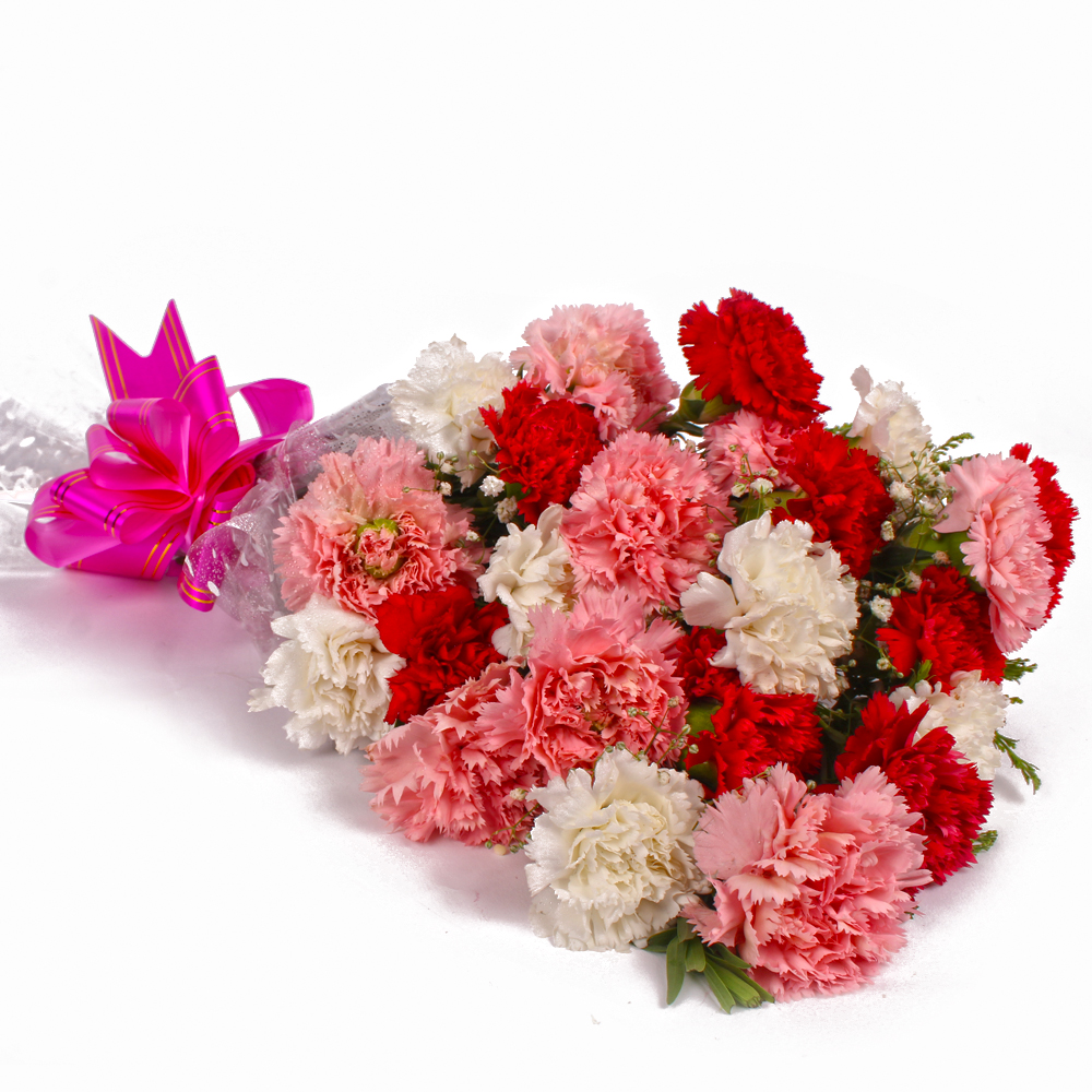 Charming Bouquet of 24 Mix Carnations