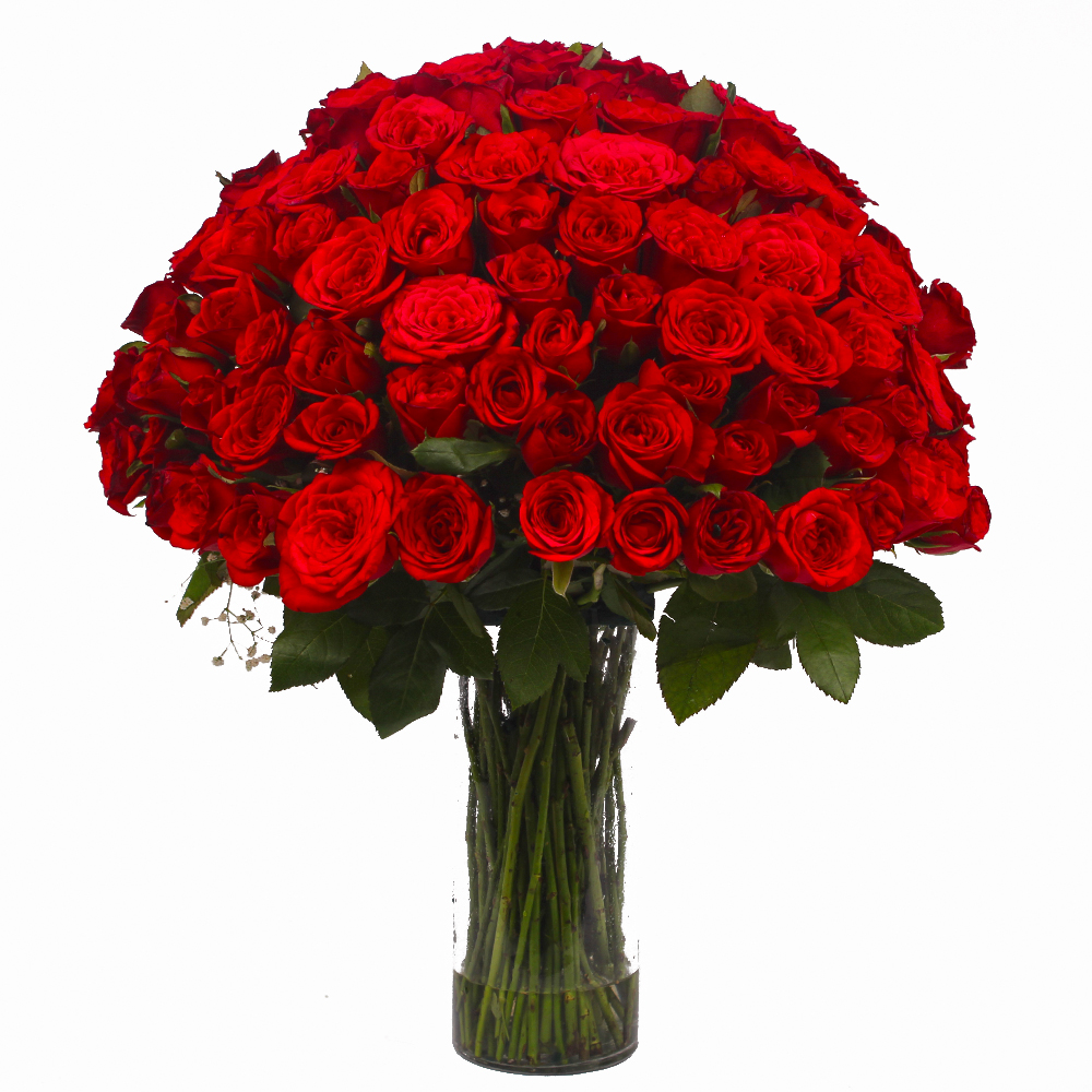 Hundred Red Roses Vase Arrangement