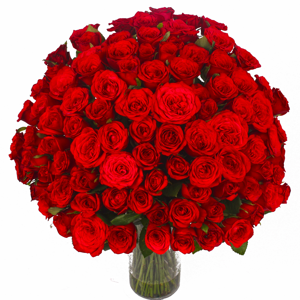 Hundred Red Roses Vase Arrangement