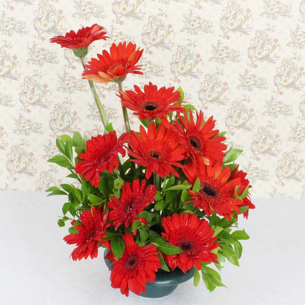 Red Gerberas Basket