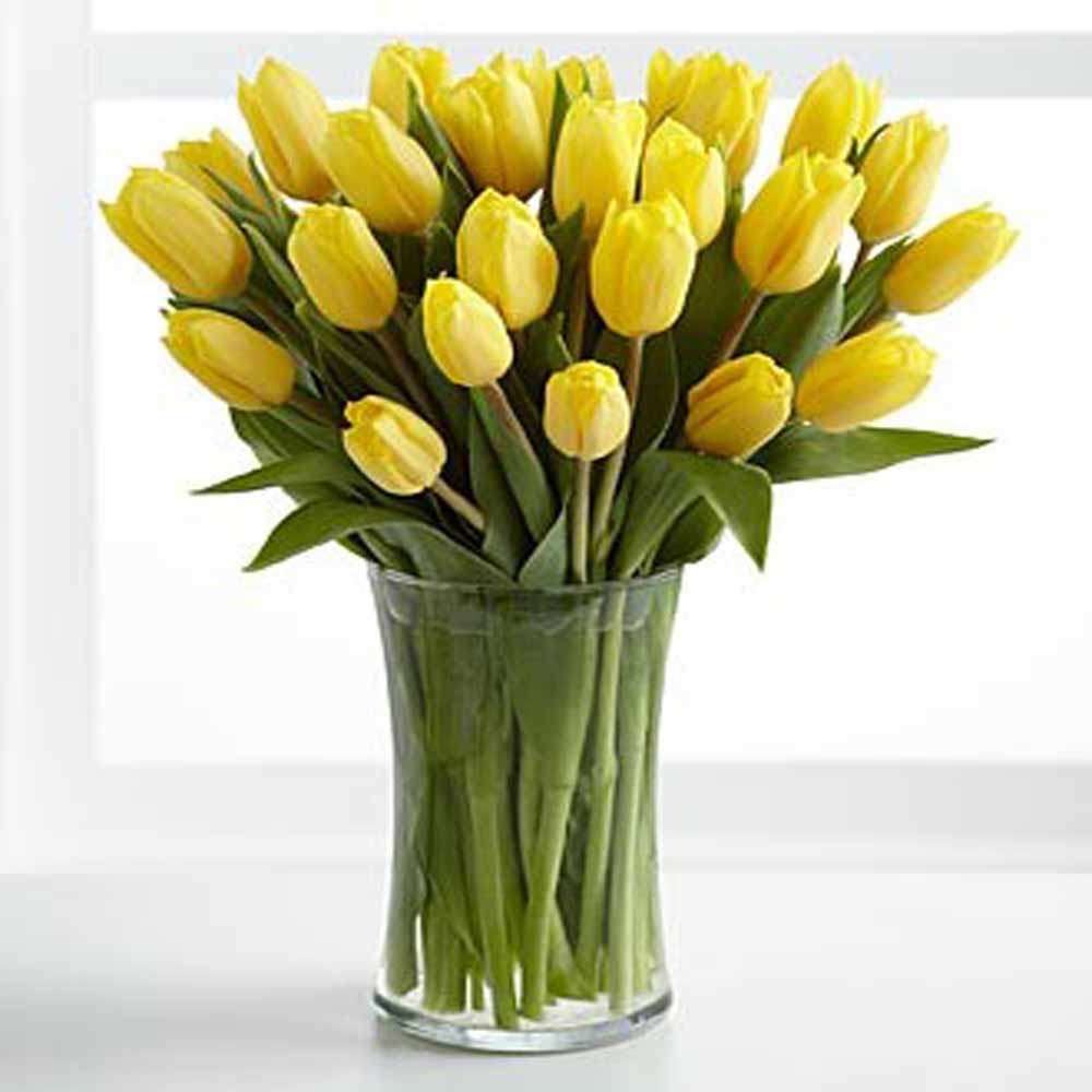 Yellow Tulips In Vase
