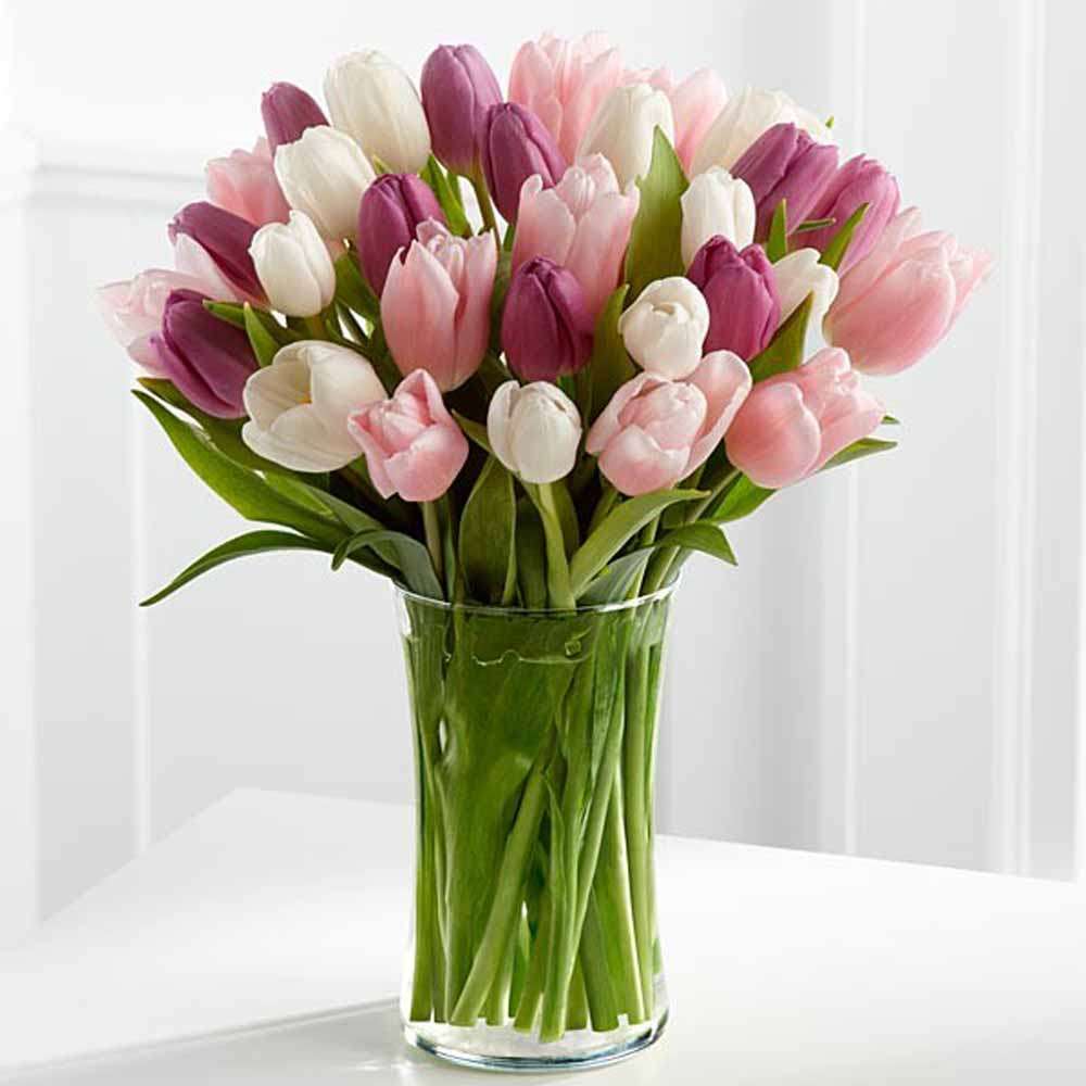 Tulips Arranged in a Vase