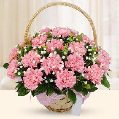 Basket of Pink Carnations
