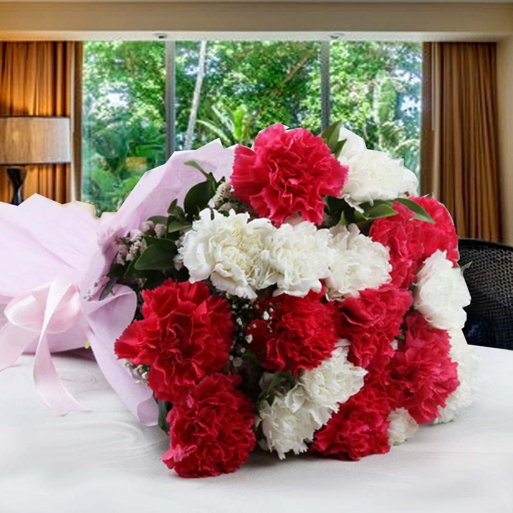 Alluring Twenty Mixed Carnations Bouquet