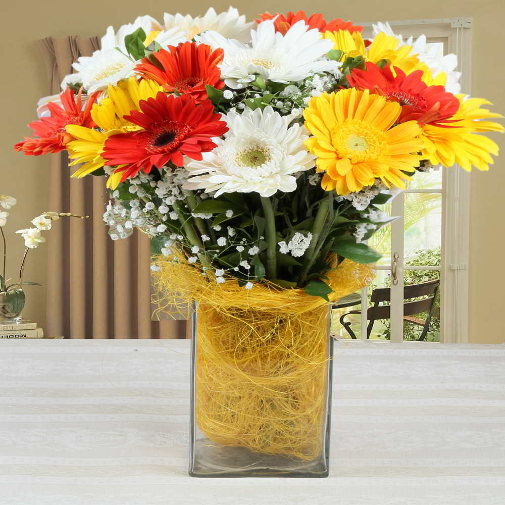 Vase of Mixed Gerberas Arrangement