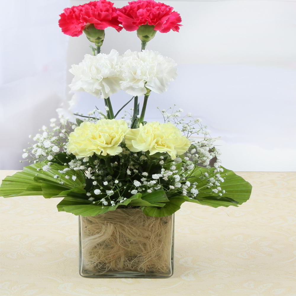 Beautiful Carnations Glass Vase