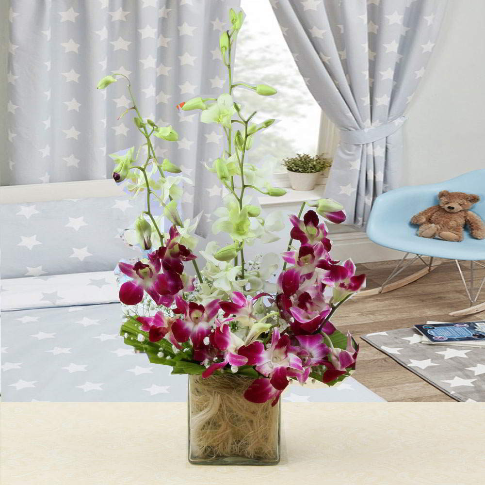 Charming Mix Colors Orchid in Vase