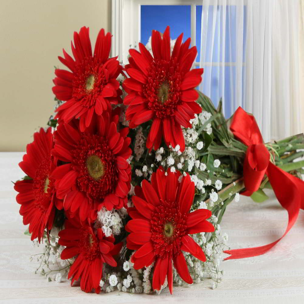Bouquet of Red Gerberas Cellophane Wrapped