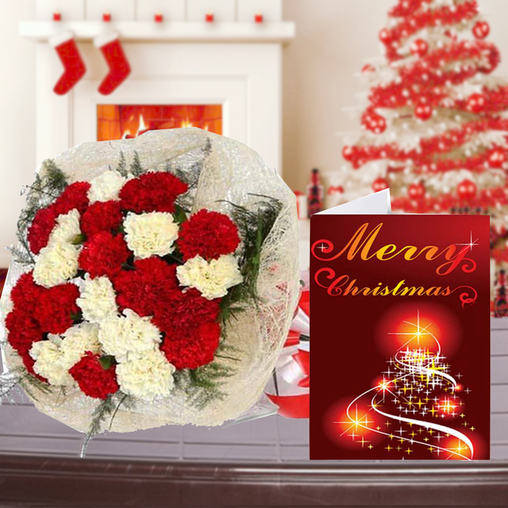 Merry Christmas Card and Carnation Bouquet Combo for Christmas