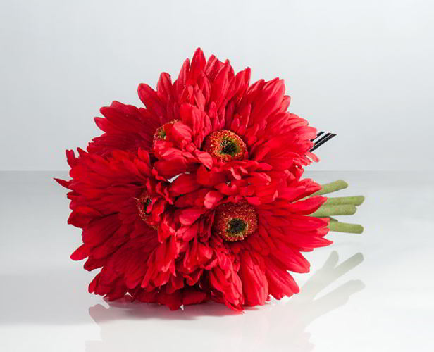 Bouquet of Red Gerberas