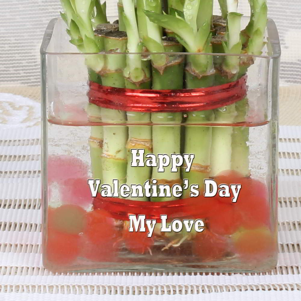 Customized Glass Vase