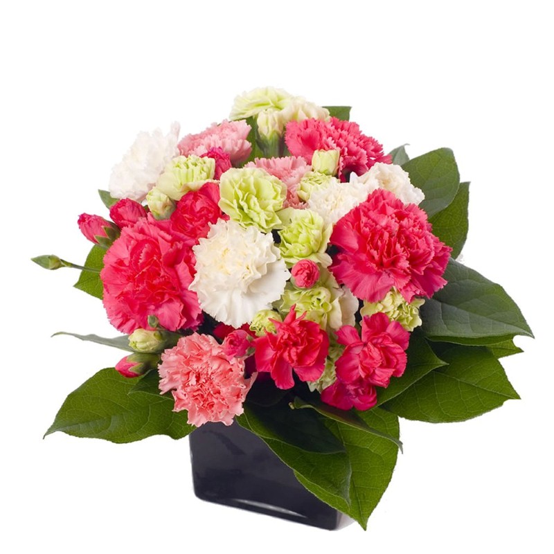 Vase of Colorful Carnations for Valentine