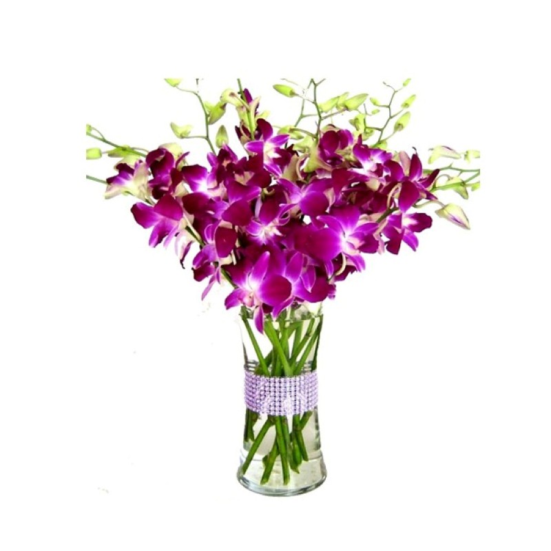 Ten Purple Orchids Vase for Valentine