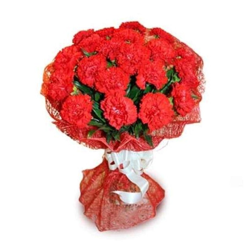 Romantic Red Carnation For This Valentines