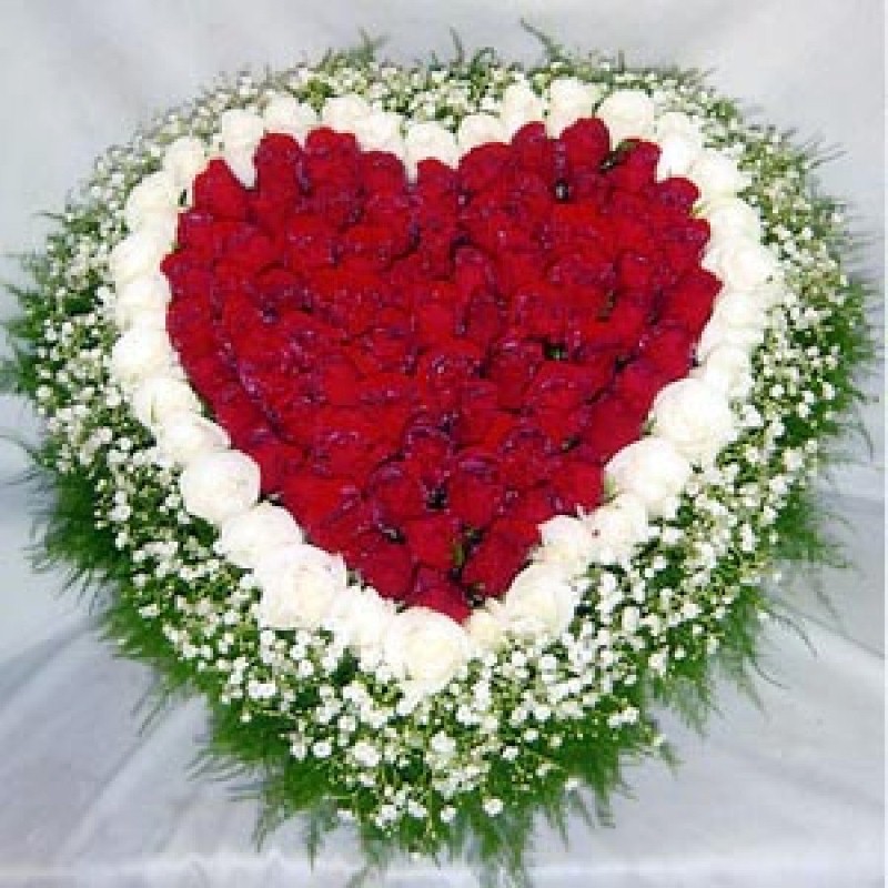 Red and White Roses In Heart Shape