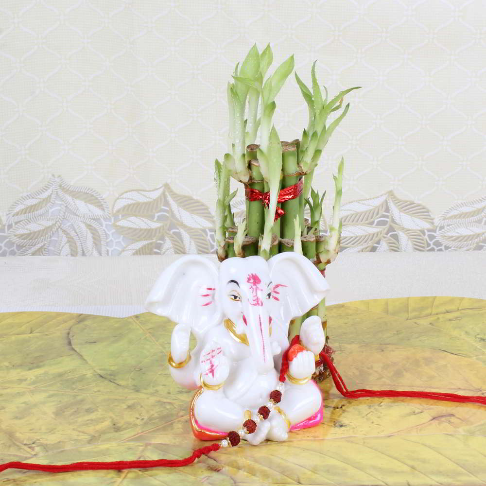 Rakhi Gift of Charming Ganesha Idol with Lucky Bamboo Plant