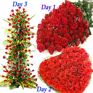 Red Hundred Love Roses