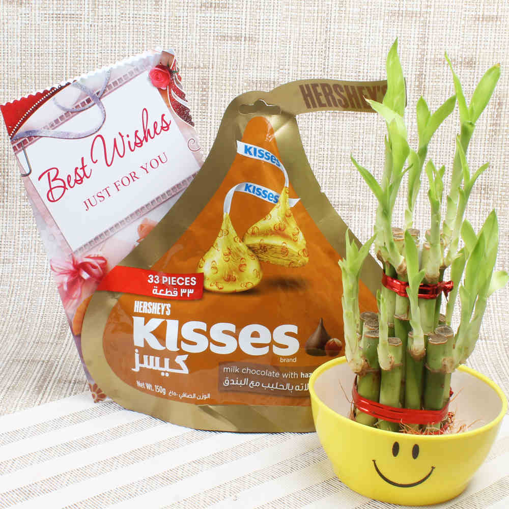 Kisses Chocolate with Good luck bamboo plant