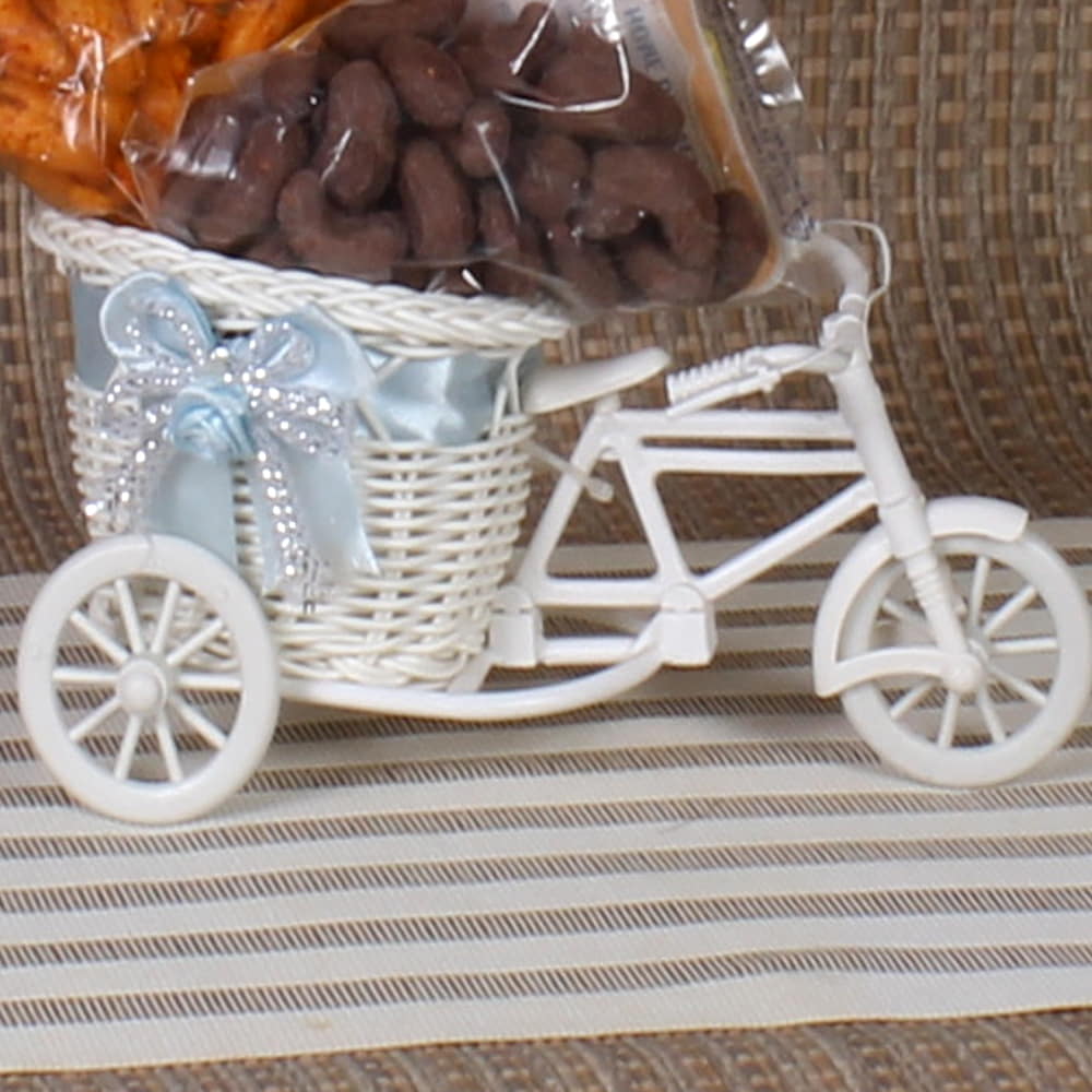 Healthy Cycle Basket